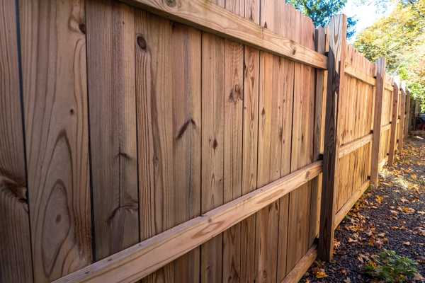 Fence Repair & Staining